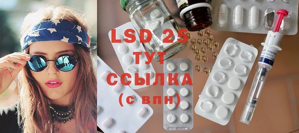 PSILOCYBIN Переславль-Залесский