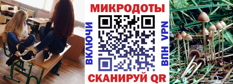 где купить наркоту  Таштагол  Галлюциногенные грибы Cubensis 